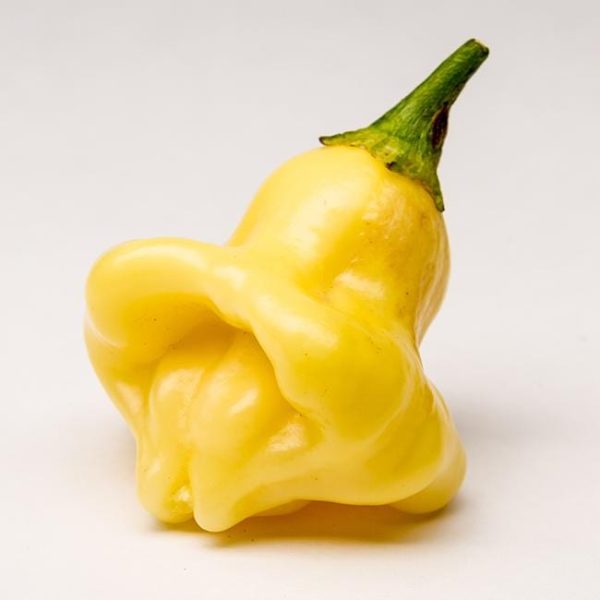 Aji Fantasy Chili Pepper Seeds For Cheap