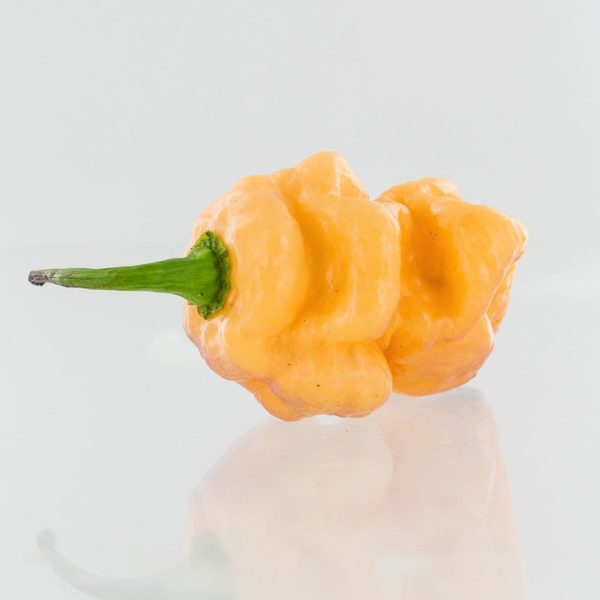 7-Pot BubbleGum x Drax Diego Dream Pepper Seeds For Discount - Image 2
